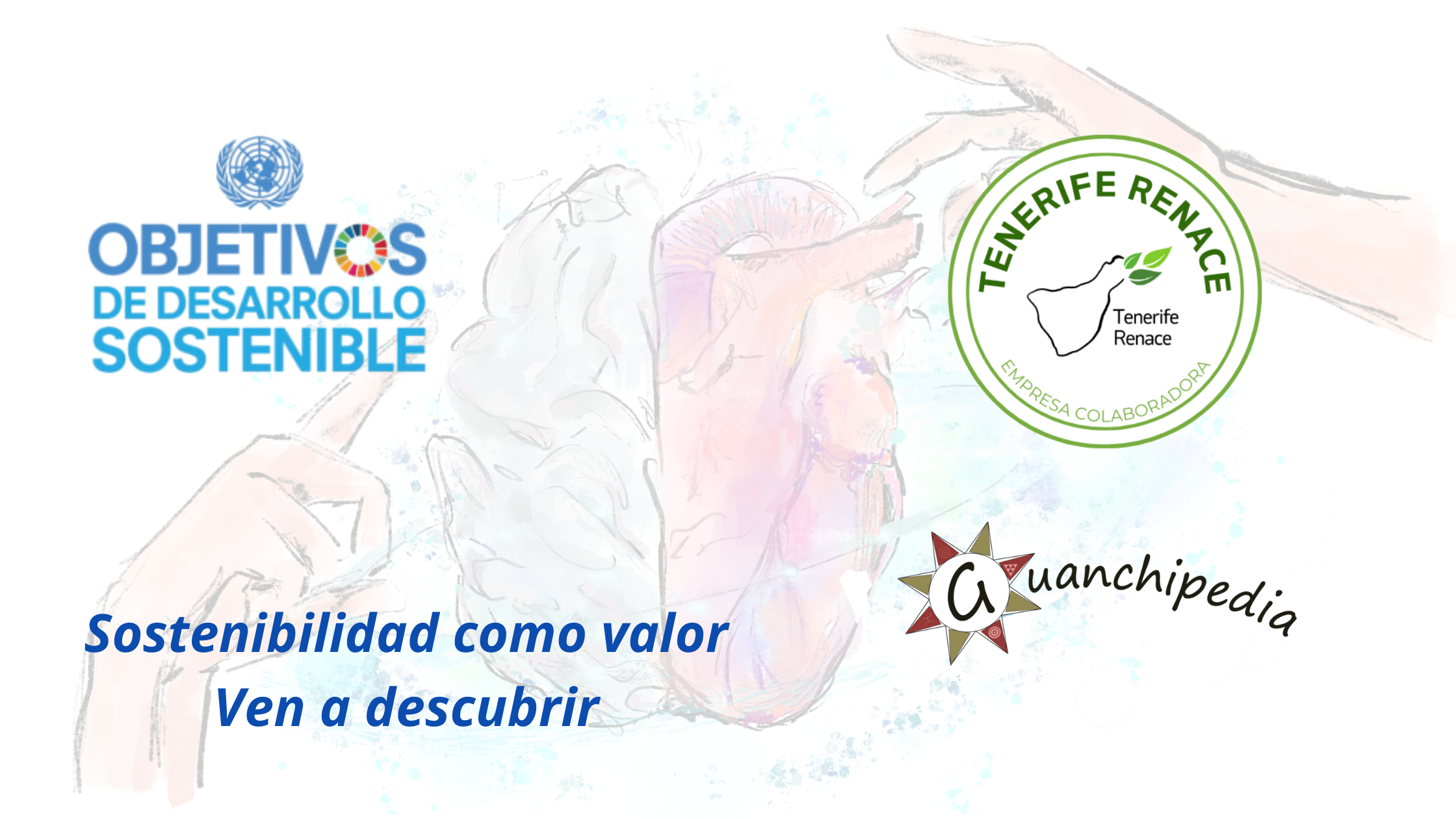sostenibilidad como valor